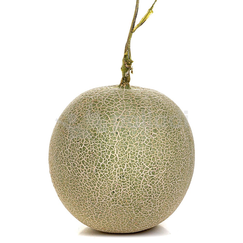 Дыня зеленая 14 см