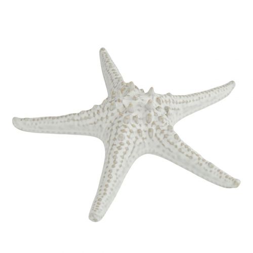 Блюдо-звезда 24 см Frutti di Mare