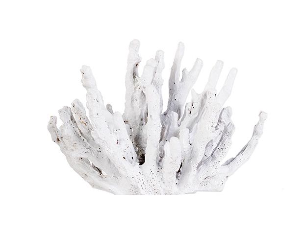 Фигурка Коралл,17X10XH13см